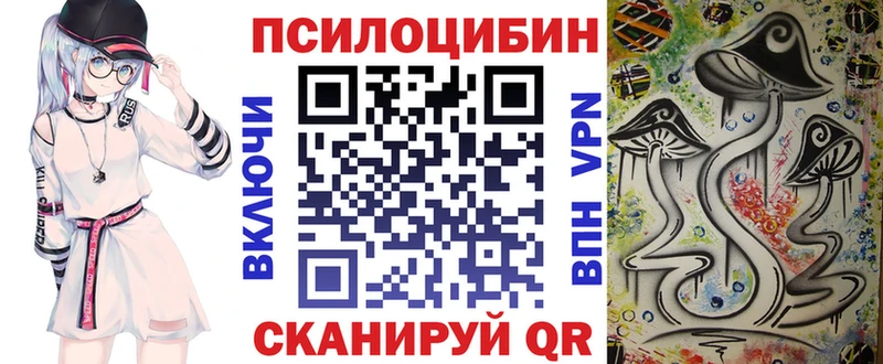 Псилоцибиновые грибы Magic Shrooms  Суздаль 