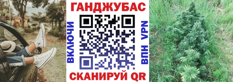 магазин Суздаль Бошки марихуана тримм